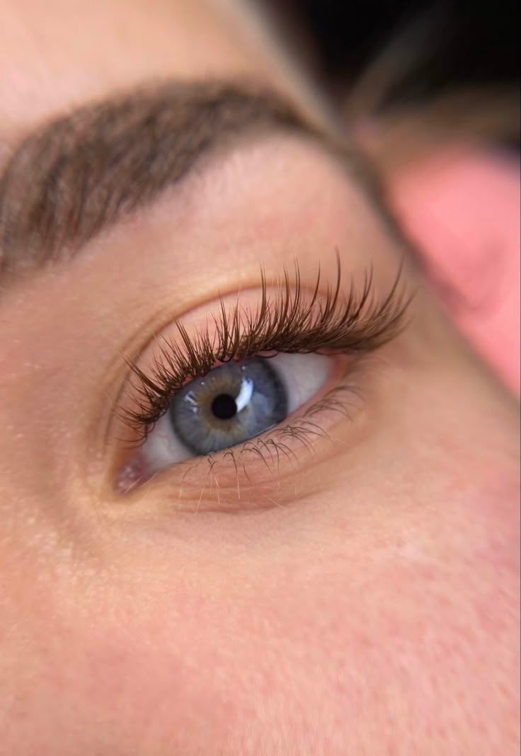 Volume Lashes